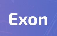Как использовать модули Exon для для цифровизации строительных процессов
