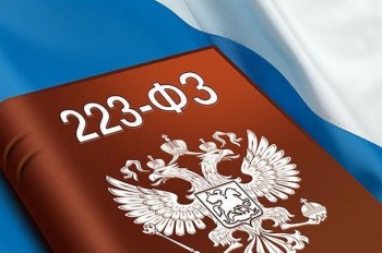 Безосновательное отклонение заявки по закону № 223-ФЗ